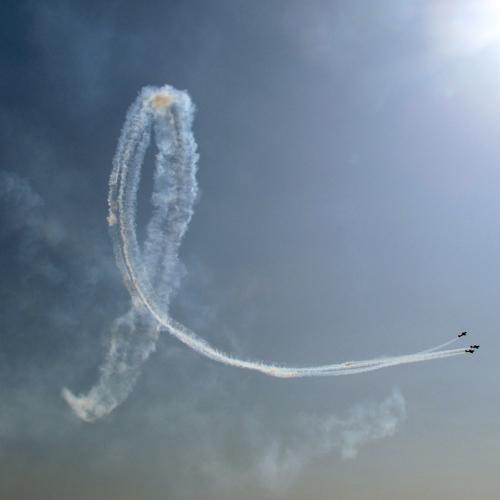 Photo #3650155
