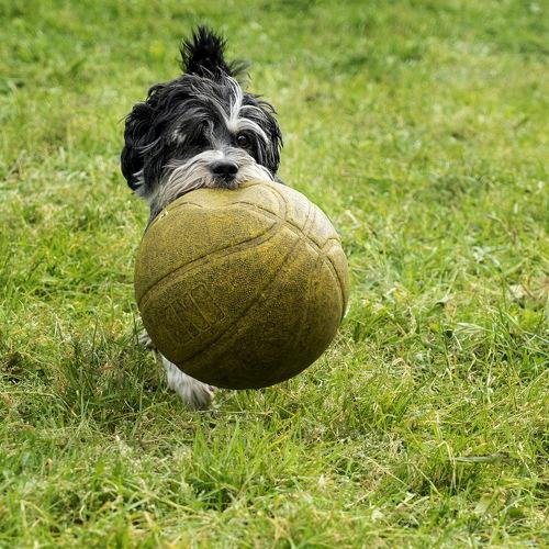 Photo #3650250