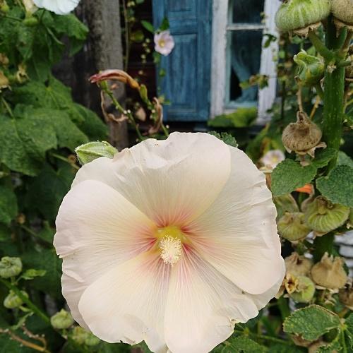 Photo #3650402