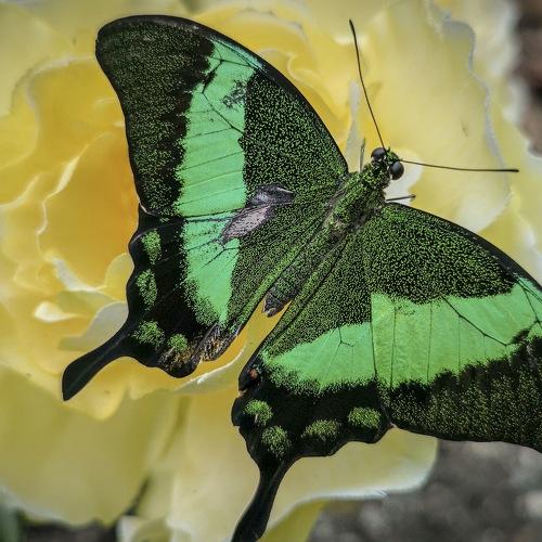 Photo #3650947