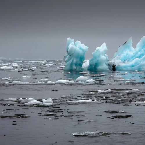 Photo #3651149