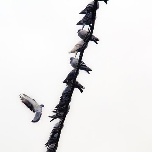 Photo #3651282