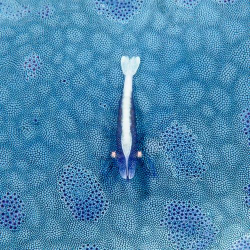 Photo #3651701