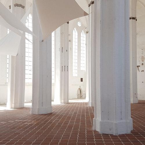 Photo #3651901