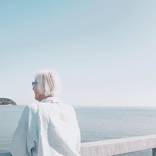 Photo #3651950