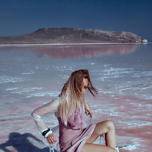 Photo #3651999