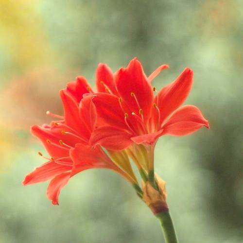 Photo #3652176