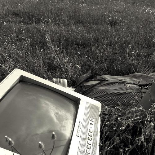 Photo #3652235