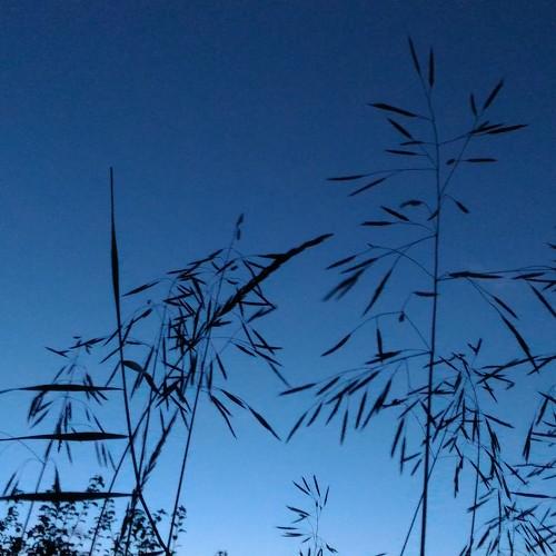 Photo #3652696