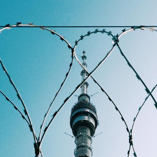 Photo #3653324