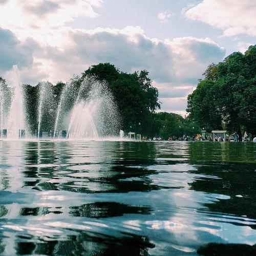 Photo #3653325