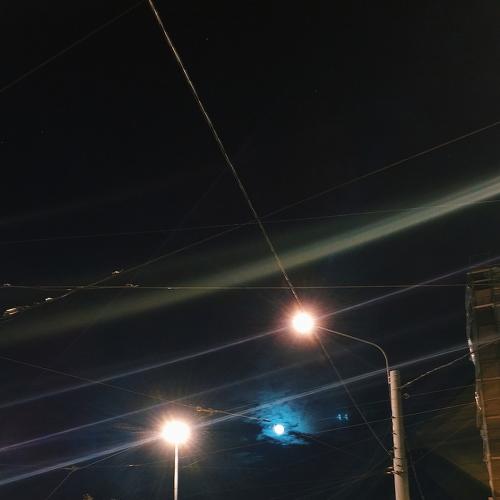 Photo #3653328