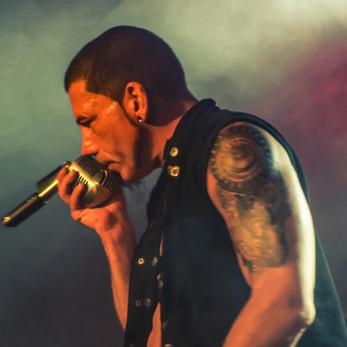 Photo #3653744