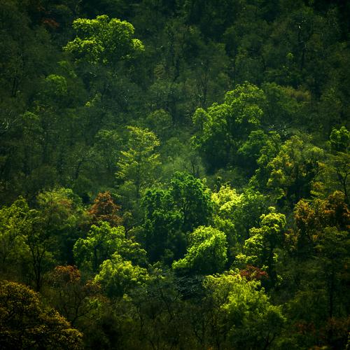 Photo #3653970
