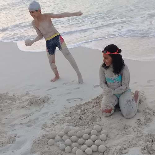 Photo #3654136