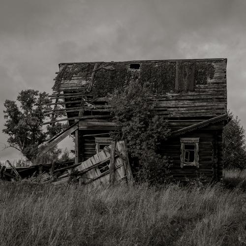 Photo #3654143