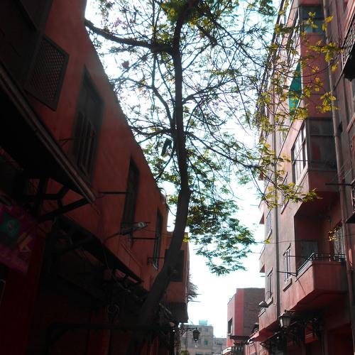 Photo #3654213