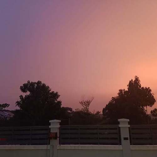 Photo #3654240