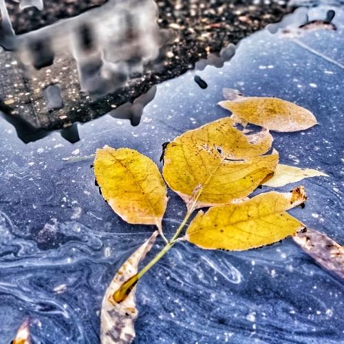 Photo #3654507