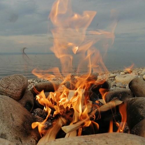 Photo #3654603