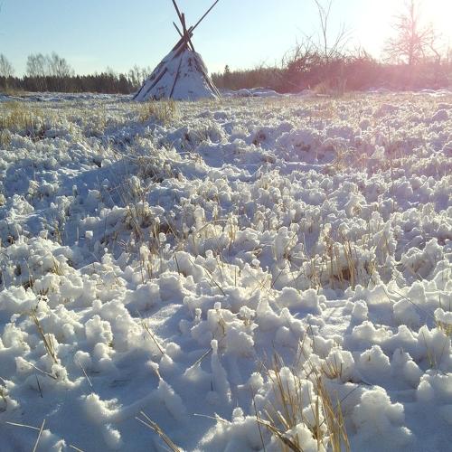 Photo #3654605