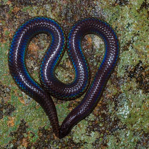 Heart of Mother Nature