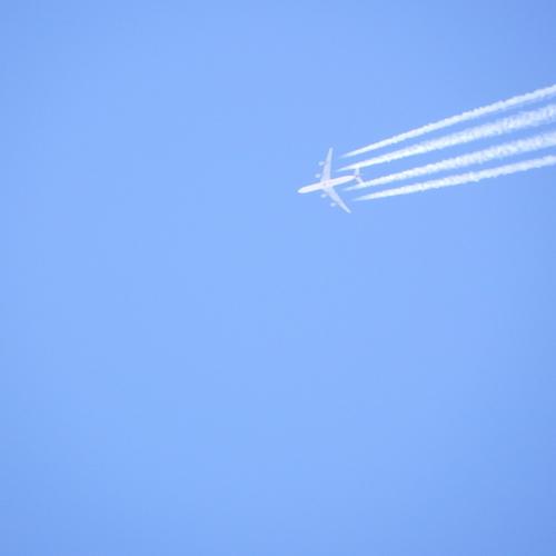Photo #3655015