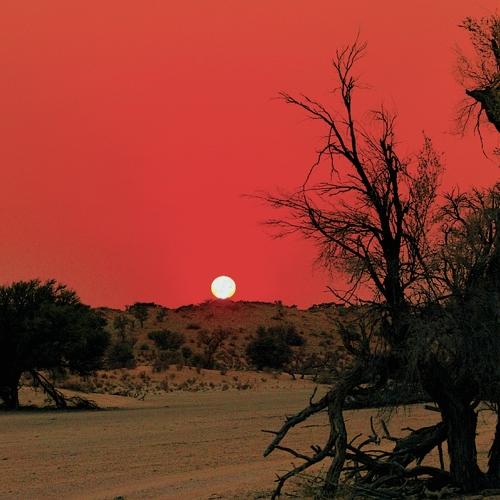 Photo #3655060