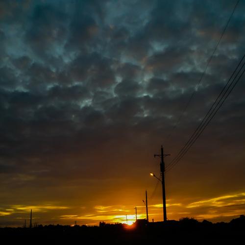 Photo #3656029