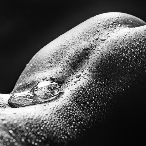 Photo #3656045