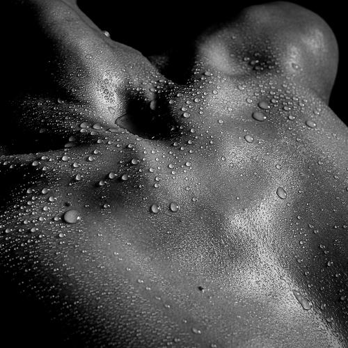 Photo #3656048