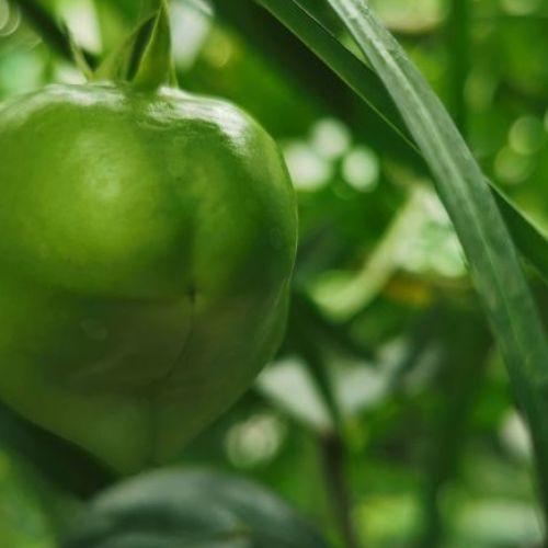 Photo #3656077