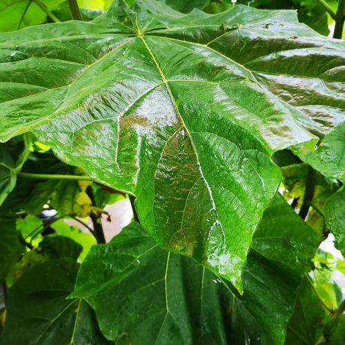 Photo #3656105