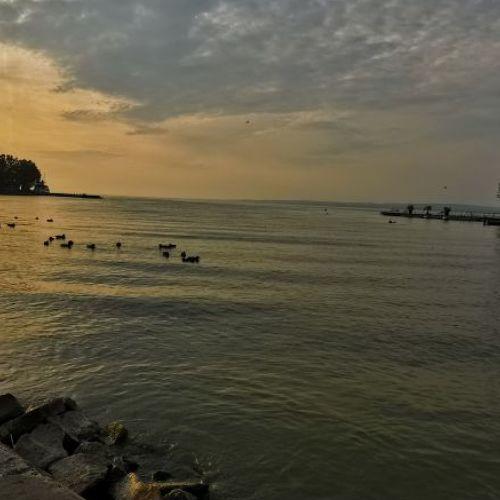 Photo #3656126