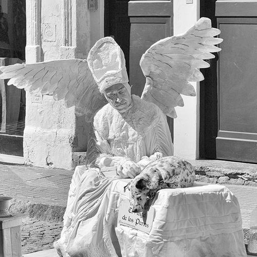 El Ángel y el perro