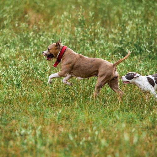 Фотография #3656200