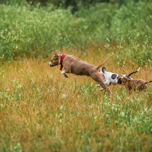 Фотография #3656207