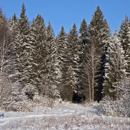 Photo #3656385