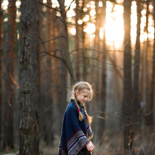 Photo #3656622