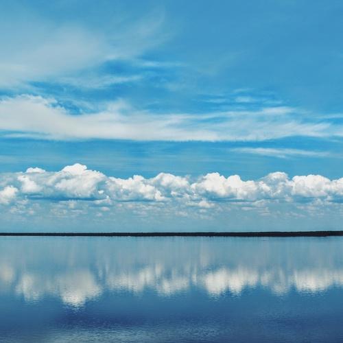 Photo #3656732