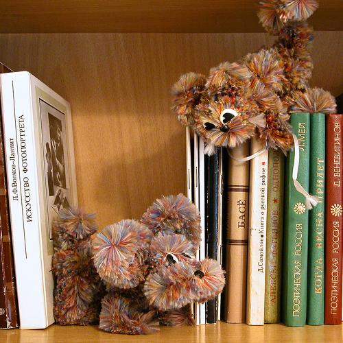 Photo #3656847