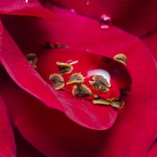 Photo #3657212