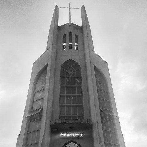 Photo #3657512