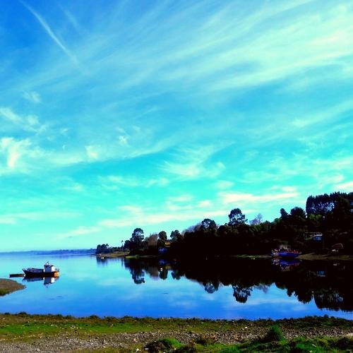 Photo #3657710