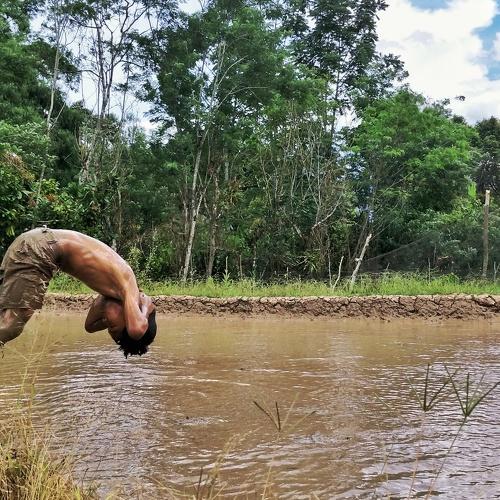 Photo #3657806