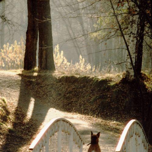 Photo #3657832