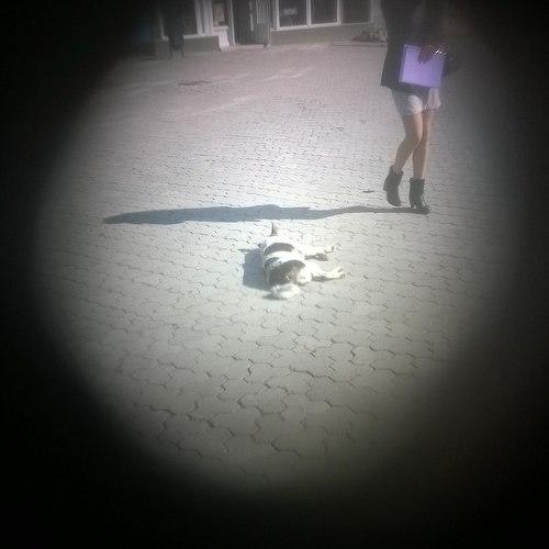 Photo #3658574