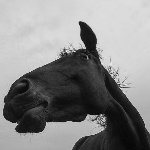 Photo #3658639