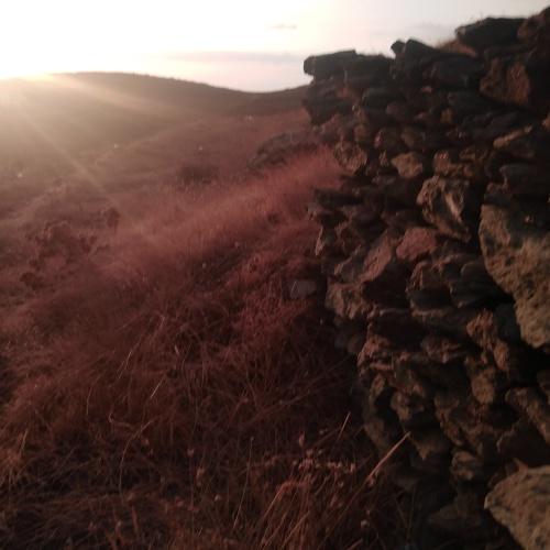 Photo #3658660