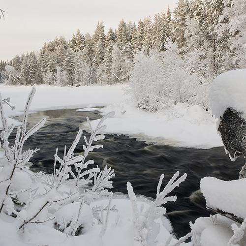Photo #3658841